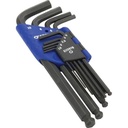 Set imbusuri Expert 9 piese