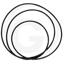 O-ring X549046900000 pentru turbomatik Fendt