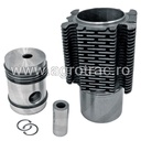 Set piston 7701454414 pentru motor MWM AKD112