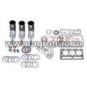 Set motor MWM D226-3