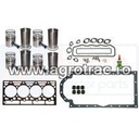 Set motor Case IH D239