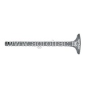 Supapa evacuare 04231804 pentru motor Deutz