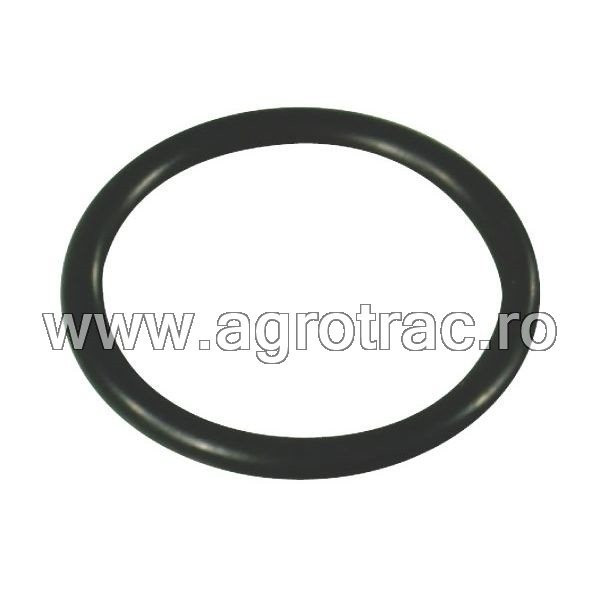 O-Ring 680070 Annovi Reverberi