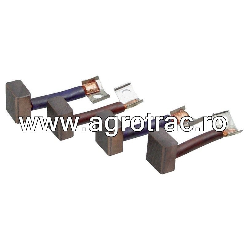 Carbuni electromotor 2007014068 pentru Bosch