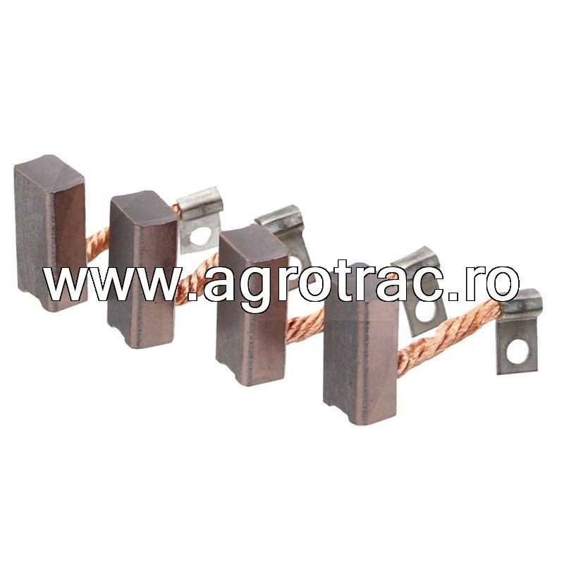 Carbuni electromotor 1007014100 pentru Bosch