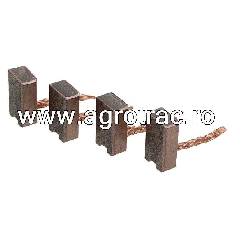 Carbuni electromotor 2007014053 pentru Bosch