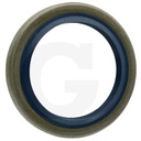 Simering PTO 58x80x10 pentru Fendt