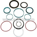 Set etansare Fendt G001990011010 pentru ridicare tiranti original