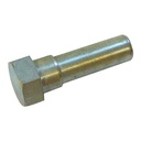 Surub pompa apa 572884 pentru Fiat pentru fixarea fuliei