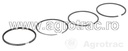 Set segmenti 747041M91 pentru Eicher Landini Massey Ferguson