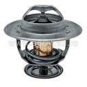 Termostat 3059676R92 pentru Case IH