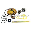 Kit reparatie 141100060700 pentru pompa apa Steyr