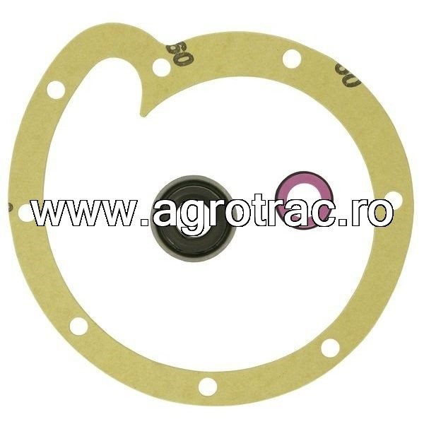 Set reparatie pompa apa 3055285R95 pentru Case IH