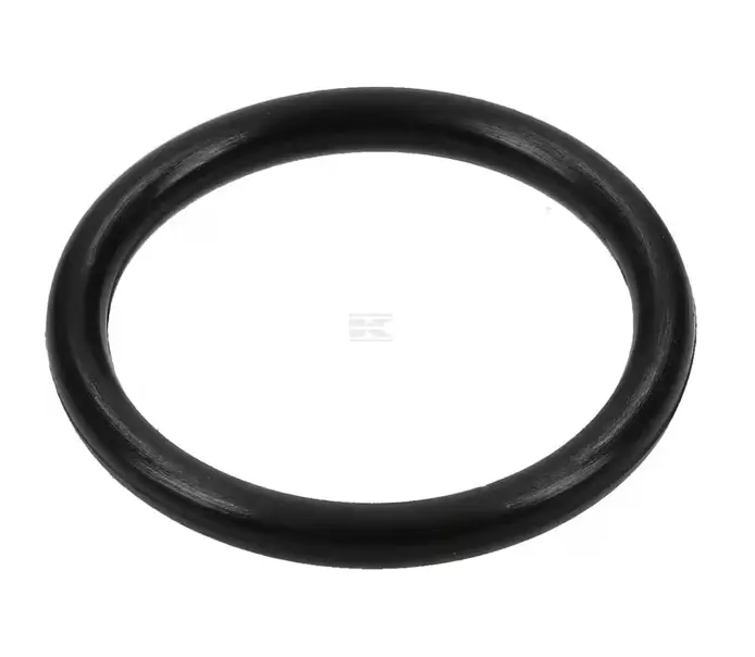 O-RING 55X2 OR552P010