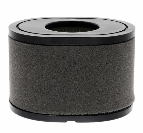 FILTRU AER 180100109-0001 12361313