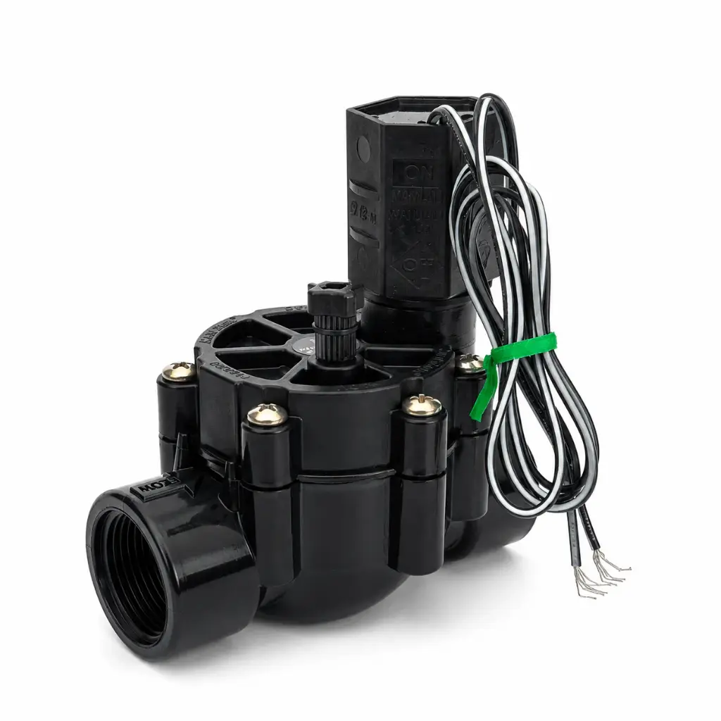 ELECTROVANA RAIN BIRD 1'' 24V 100-DV