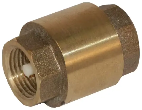 VENTIL ANTIRETUR 2'' WK51006
