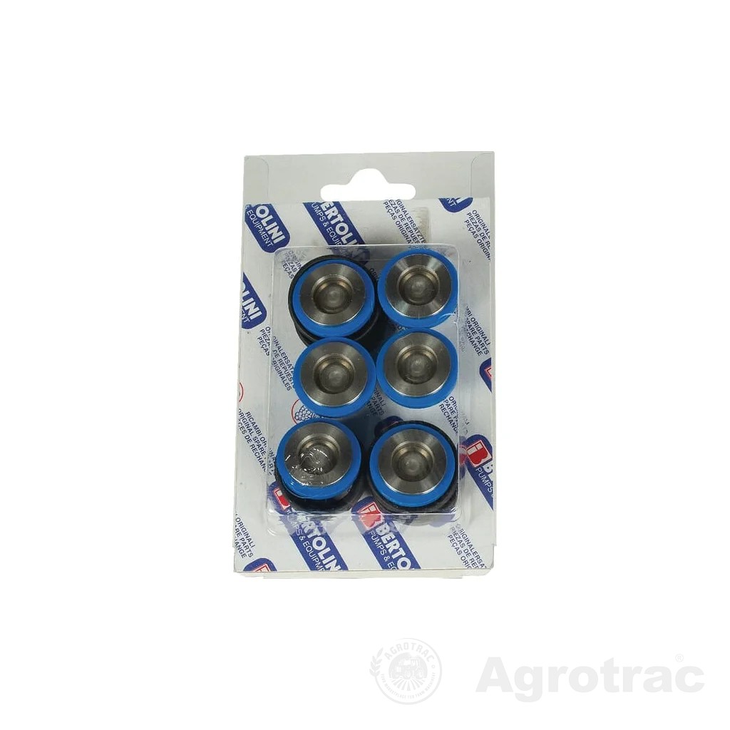 Set supape Bertolini 039875973
