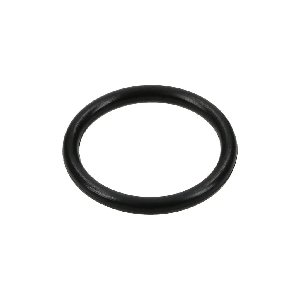 O-ring 17291881