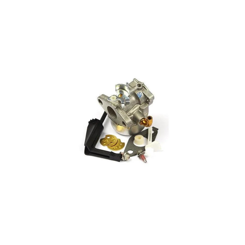 Carburator 798653