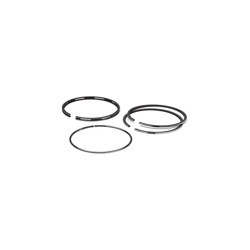 Set segmente piston standard 792366