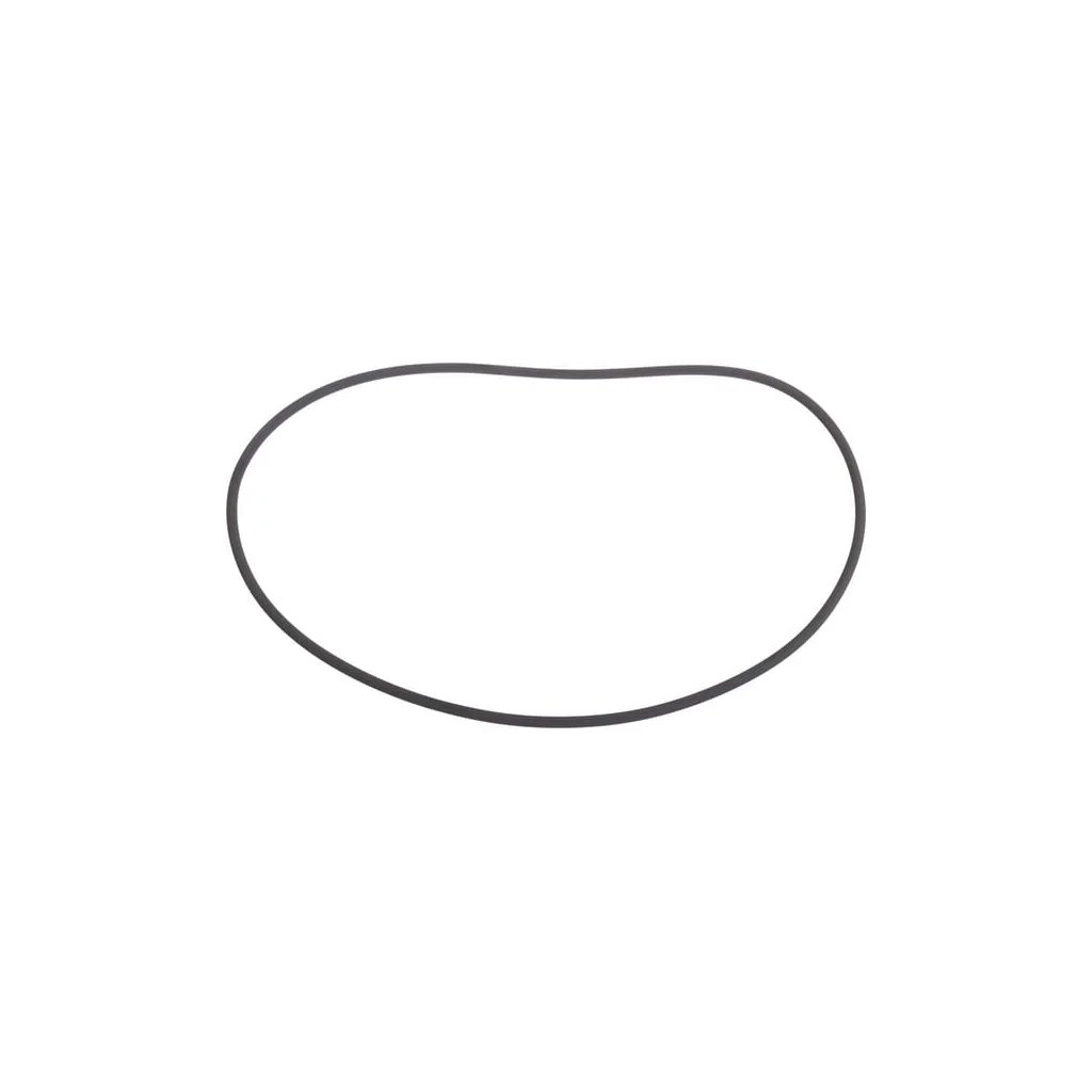 O-ring CI139231