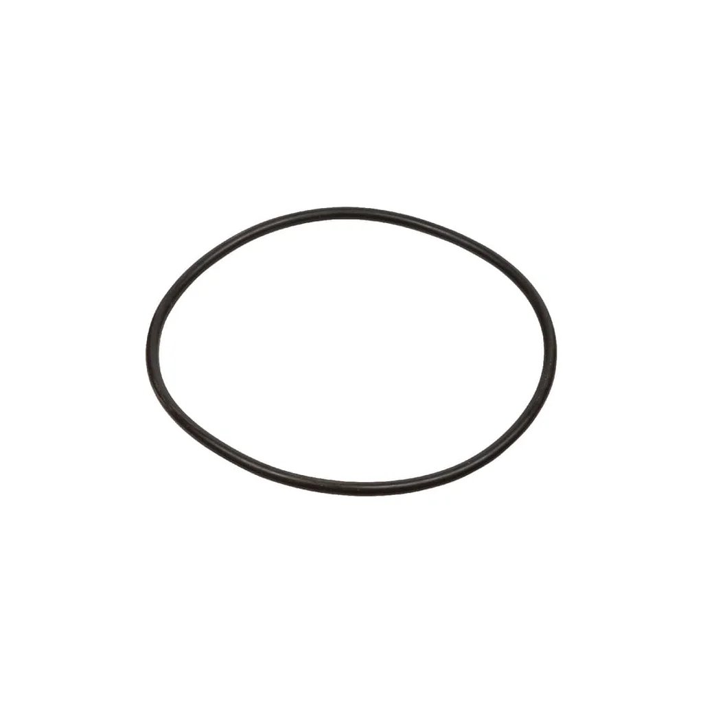 O-ring CI028613