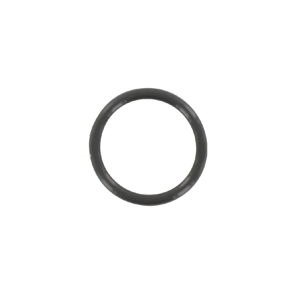 O-ring F3171R