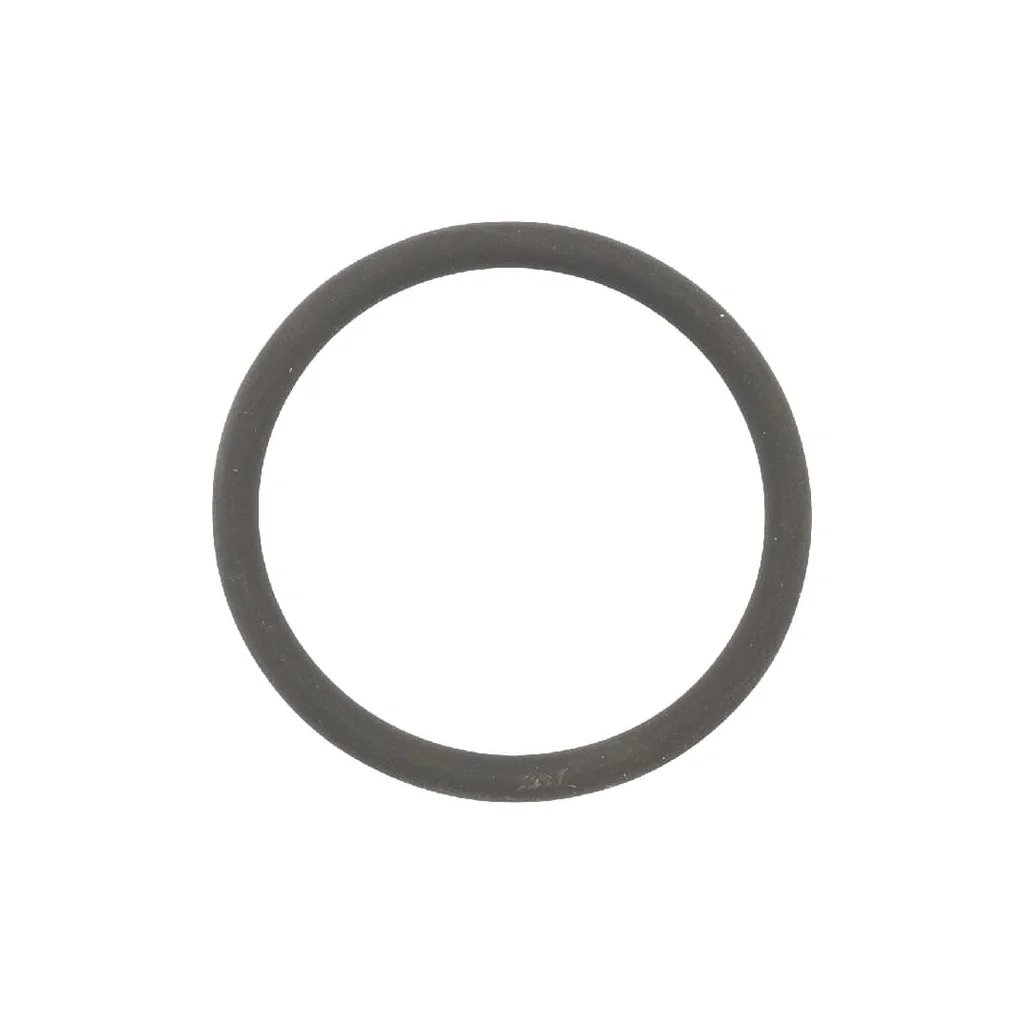 O-ring 0062280