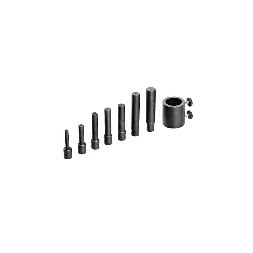 Set de spini C61217