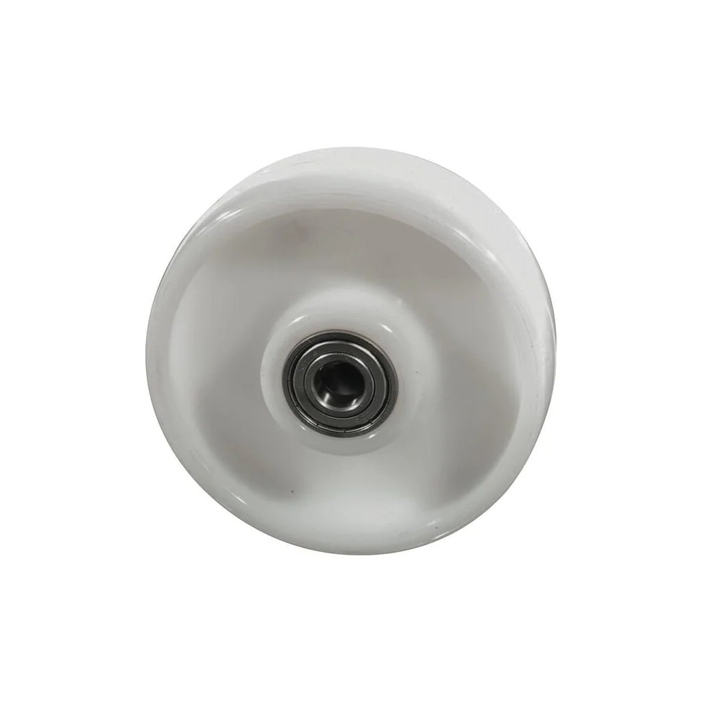 Roată liberă 250mm WH840N250