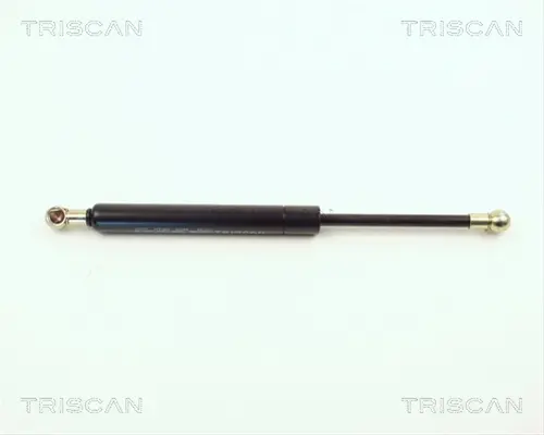 Telescop 87101009 L275 580N Triscan