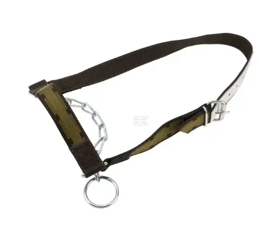 [13984] CAPASTRU 803100KR ~