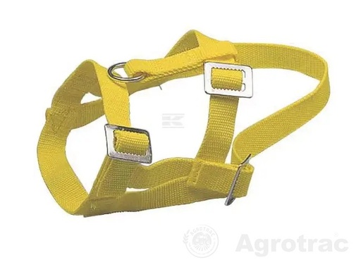 [13990] CAPASTRU VV2700 