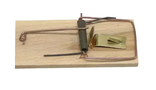 [13960] CAPCANA SOARECI 1704181402 ~