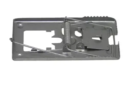 [13962] CAPCANA SOARECI 1704182003 ~