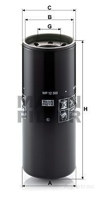 [00008931] FILTRU MOTOR MANN WP12300