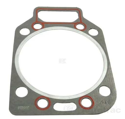[1232] GARNITURA CHIULASA F281202210040 VPA4375 FENDT VAPORMATIC