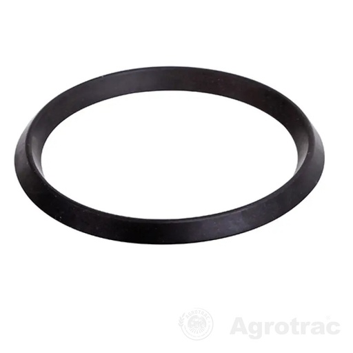 [05004] Inel membrana RG00002618 Rau orig