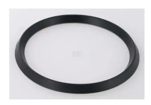 [06606] INEL MEMBRANA RG00019055 RAU ORIG