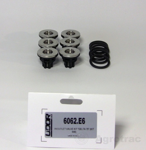 [02004] Kit supape 648 6062E6 Udor Delta / Kappa 75