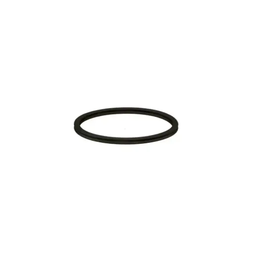 [02869] O-RING 6005020958 CLAAS ORIGINAL