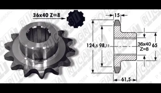 [00874] PINION Z14 010425 65.546 FORT CARRARO