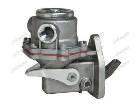 [09811] POMPA COMBUSTIBIL 21/100-30 B56794 38016627 4157603 BCS DF