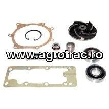[2743] SET REPARATIE POMPA APA 31/131-32 LANDINI MF