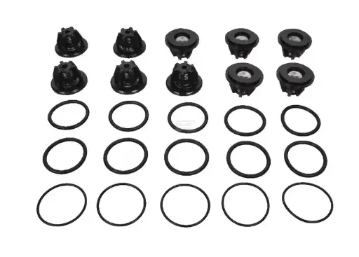 [00010848] Set supape met 559802973 BERTOLINI