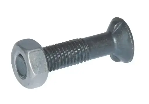 [11967] SURUB PLUG M10X30 8.8 2 CIOCURI 10302N