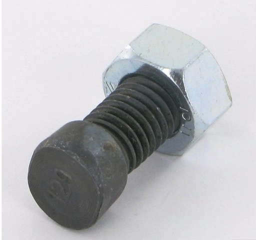 [00012509] SURUB PLUG M12X37 12.9 CAP OVAL 27004113N 1801237R ~