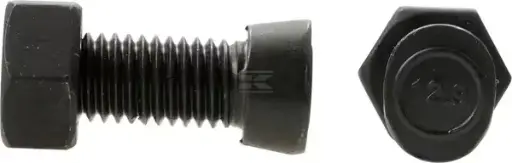 [00009815] SURUB PLUG M12X40 12.9 CAP OVAL 27004114N