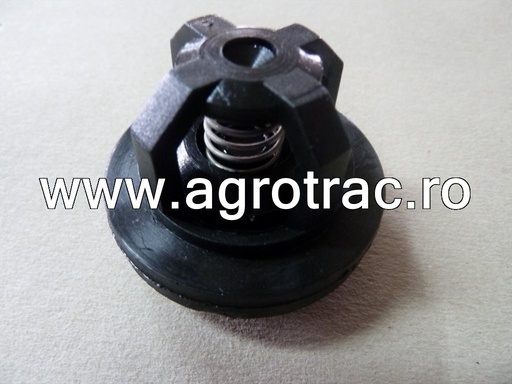 [221209 AP20ZP] Supapa pompa P100 / P120